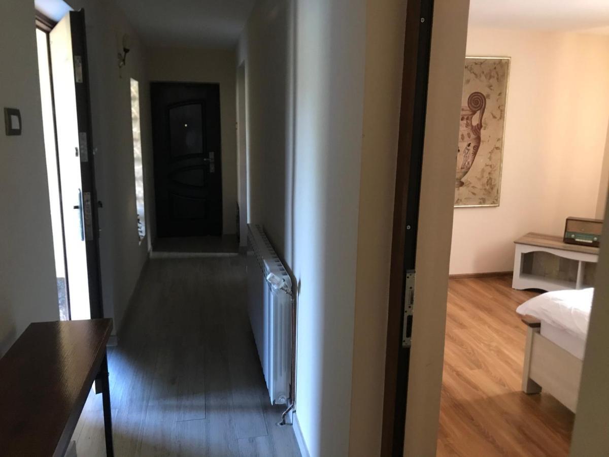 Apartament La Vila Curtea de Argeş Εξωτερικό φωτογραφία