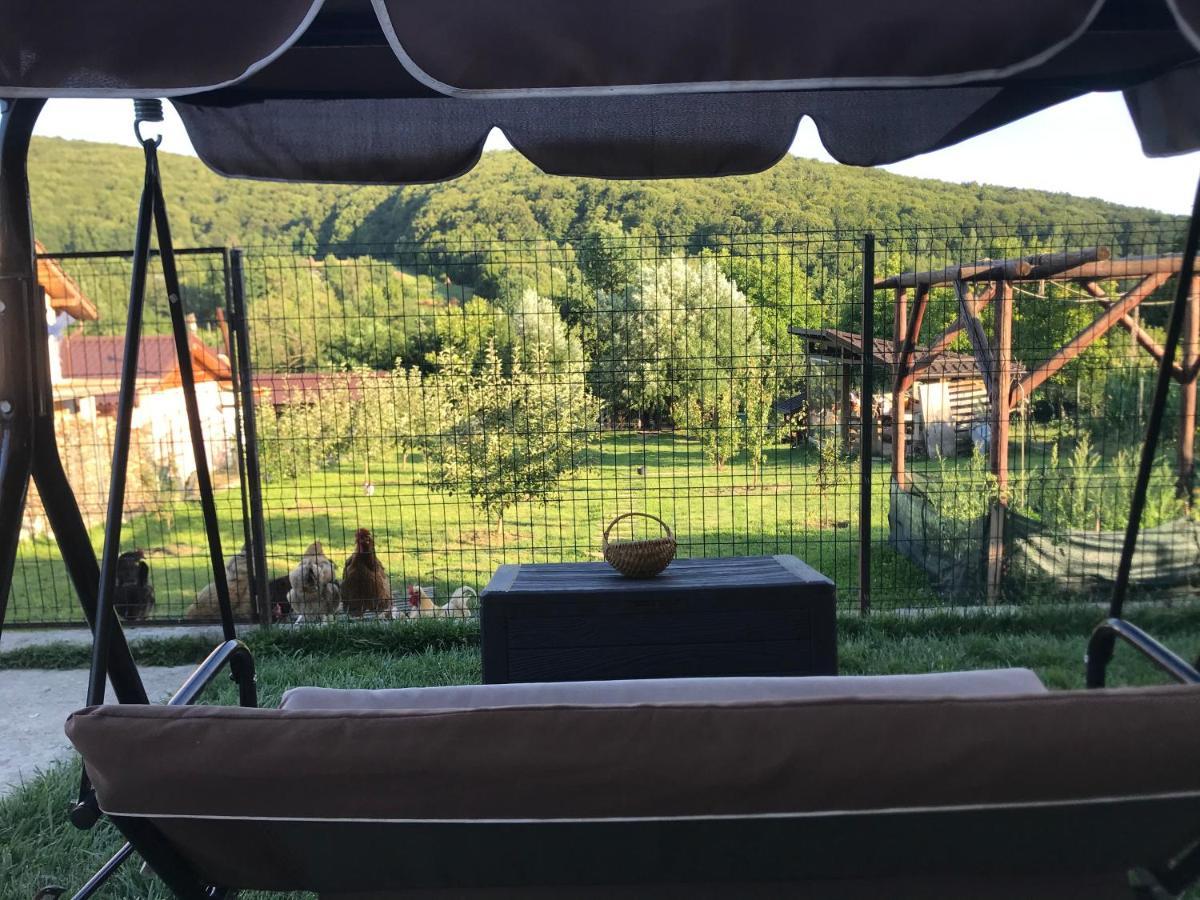 Apartament La Vila Curtea de Argeş Εξωτερικό φωτογραφία