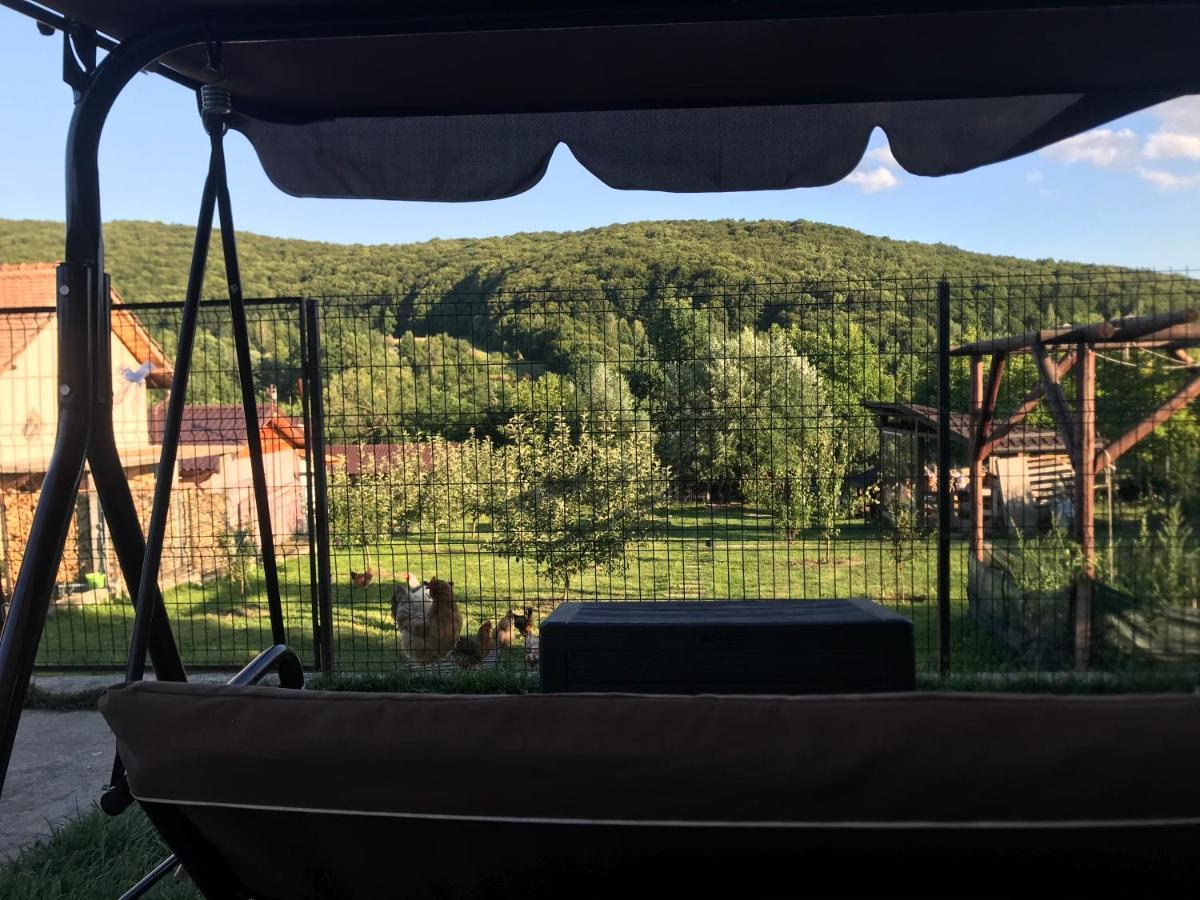 Apartament La Vila Curtea de Argeş Εξωτερικό φωτογραφία